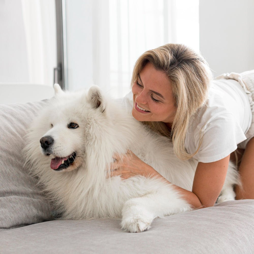 Keeping Your Dog Clean and Fresh with Frankie on the Beach Dry Shampoo