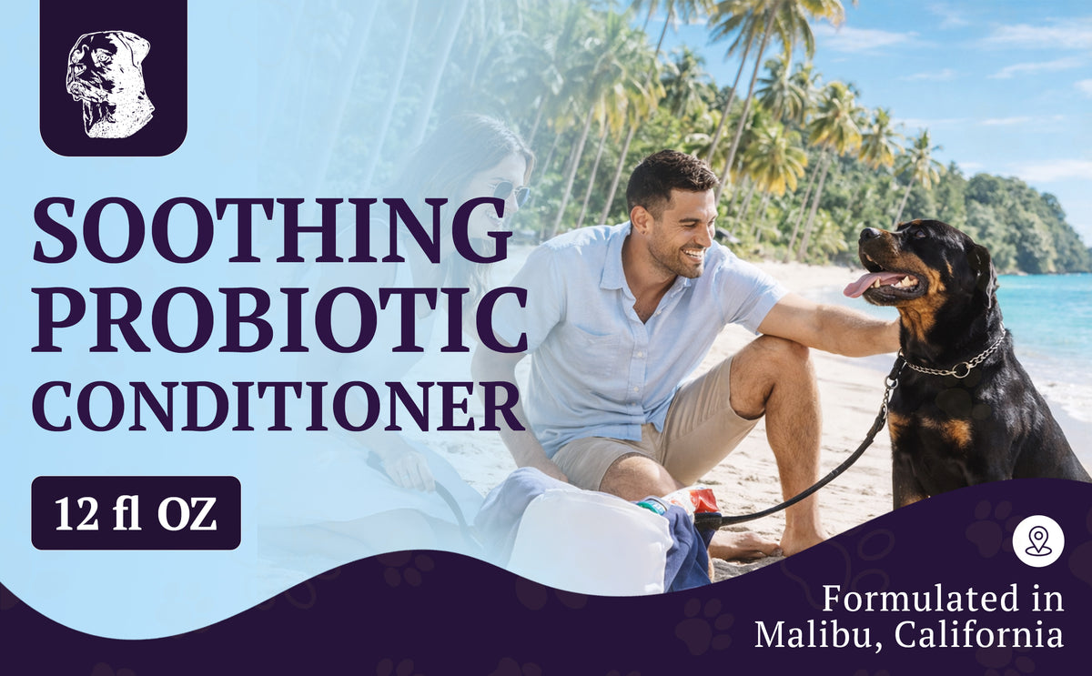 Soothing Probiotic Conditioner – feature image 01