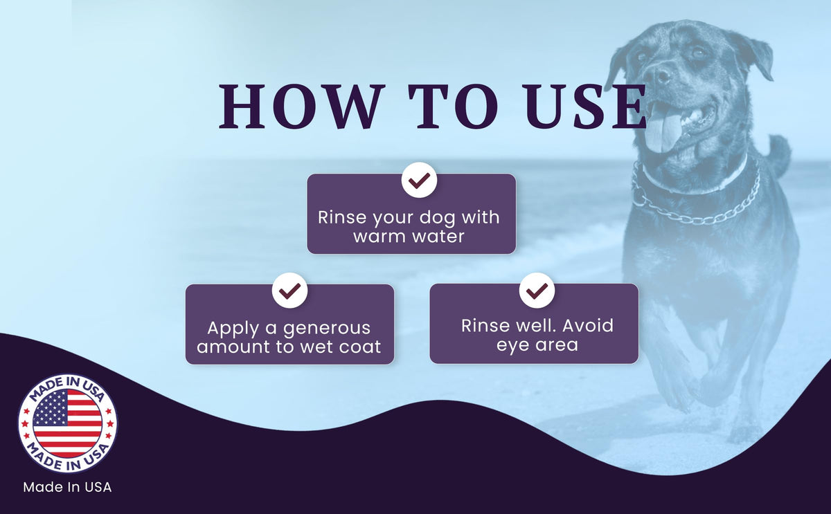 Soothing Probiotic Conditioner – feature image 06