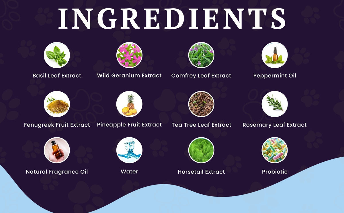 Probiotic Odor Eliminator Spray – feature image 02