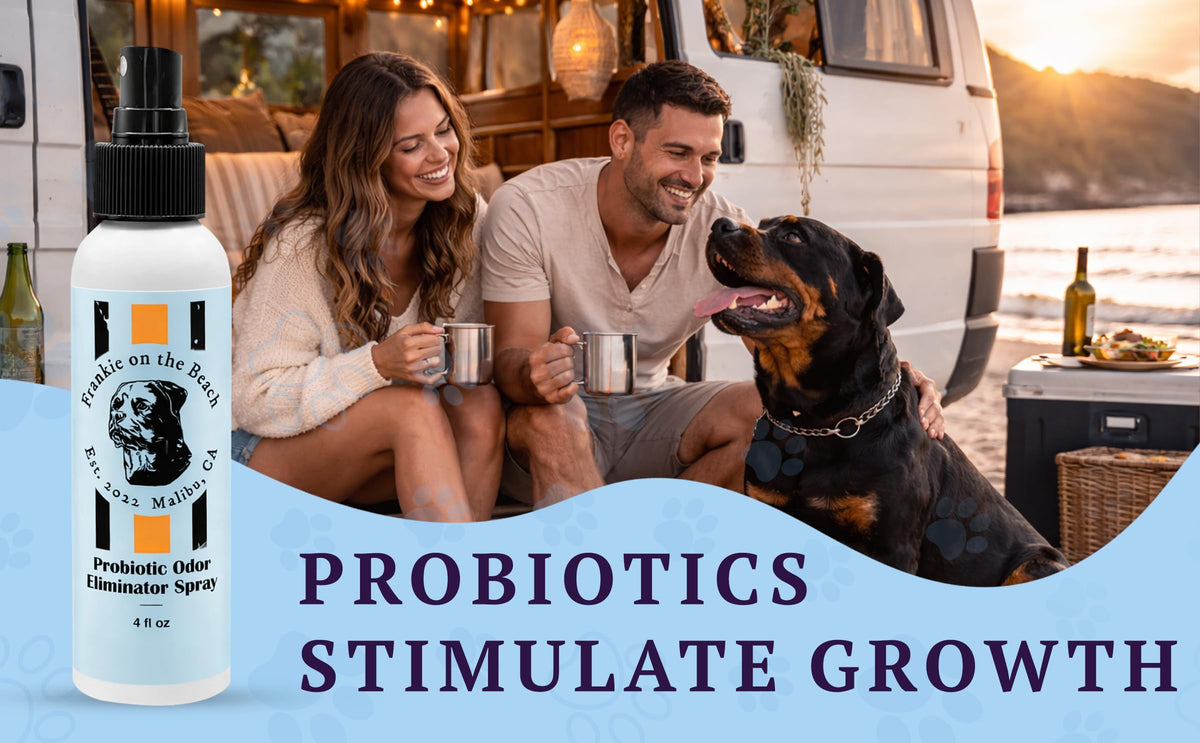 Probiotic Odor Eliminator Spray – feature image 04