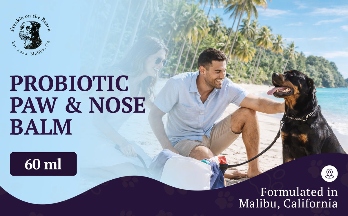 Probiotic Paw & Nose Balm – feature image 01