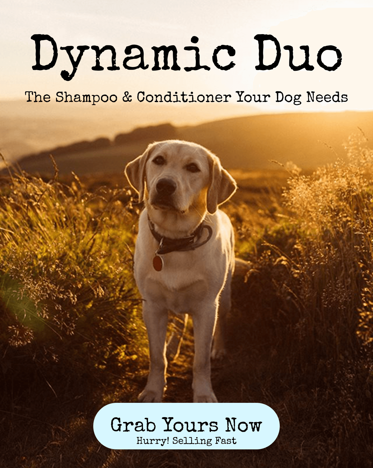 The Dynamic Duo - Amazon image 2