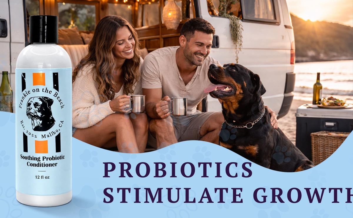 Soothing Probiotic Conditioner – feature image 04