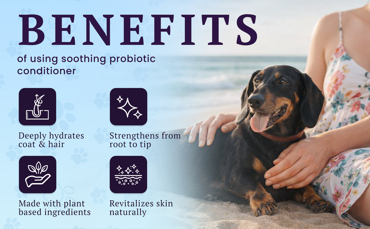 Soothing Probiotic Conditioner – feature image 05