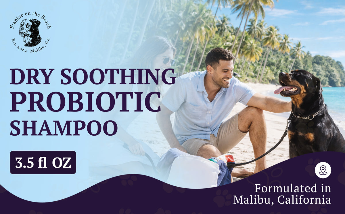 Soothing Probiotic Dry Shampoo – feature image 01