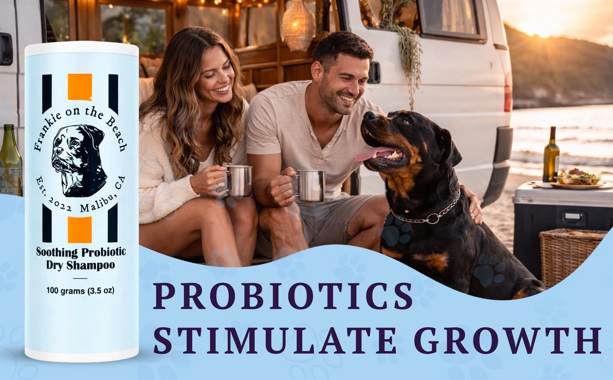 Soothing Probiotic Dry Shampoo – feature image 04