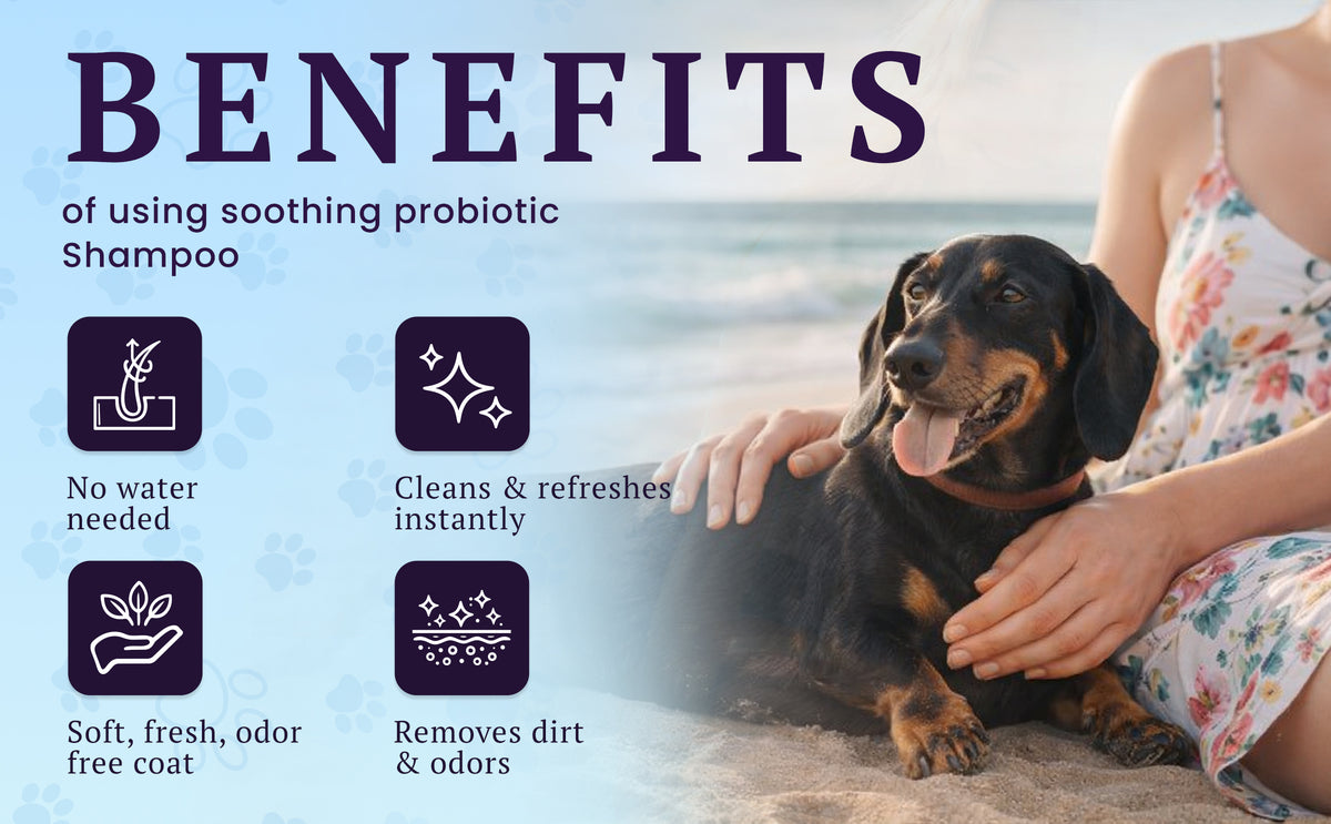 Soothing Probiotic Dry Shampoo – feature image 05