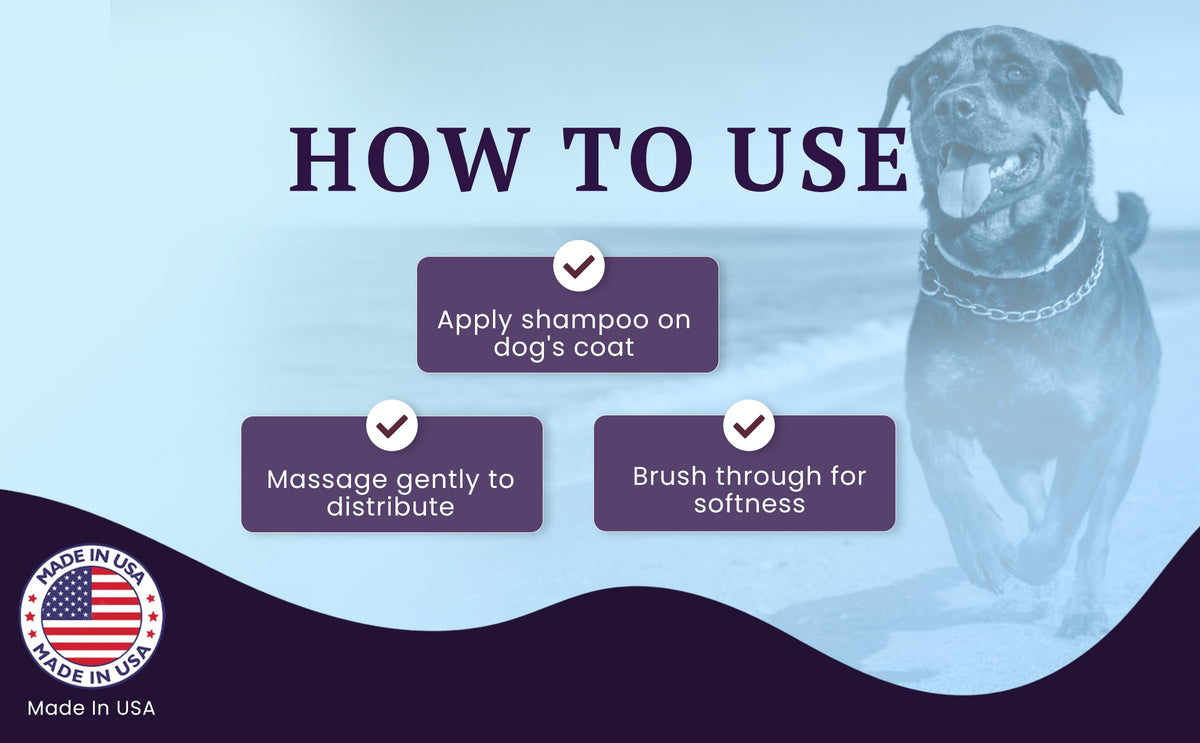 Soothing Probiotic Dry Shampoo – feature image 06
