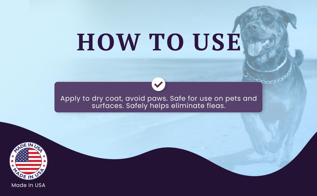 Probiotic Odor Eliminator Spray – feature image 06