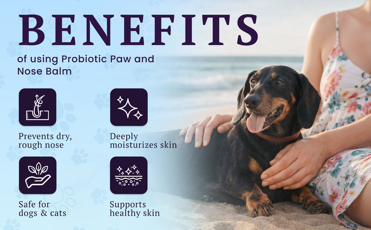 Probiotic Paw & Nose Balm – feature image 04