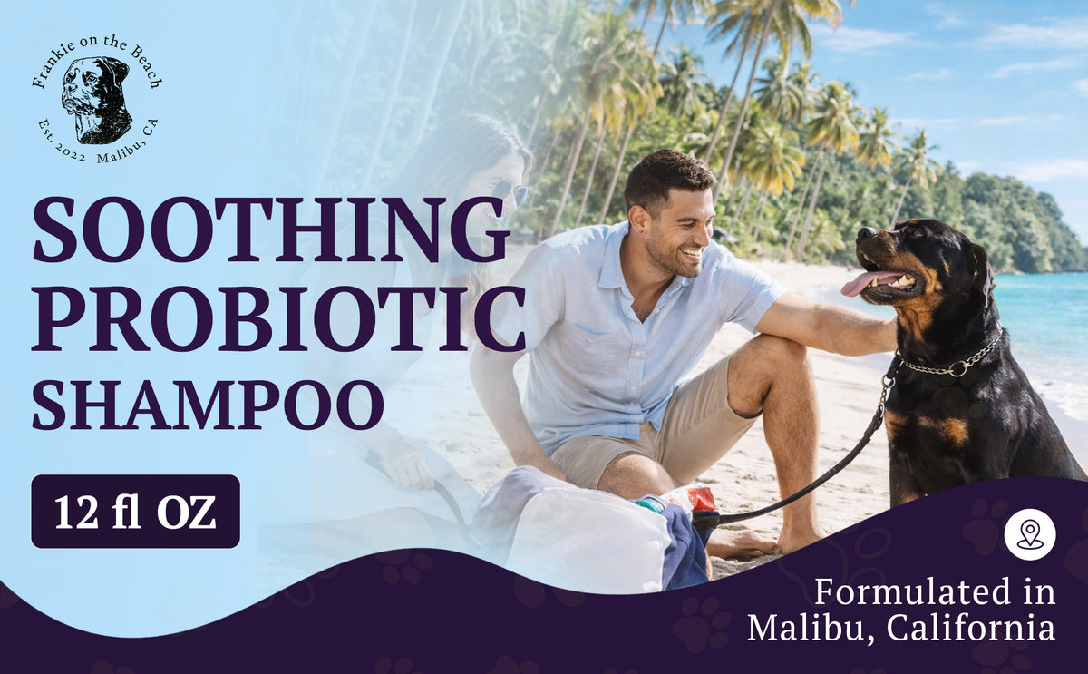 Soothing Probiotic Shampoo – feature image 01