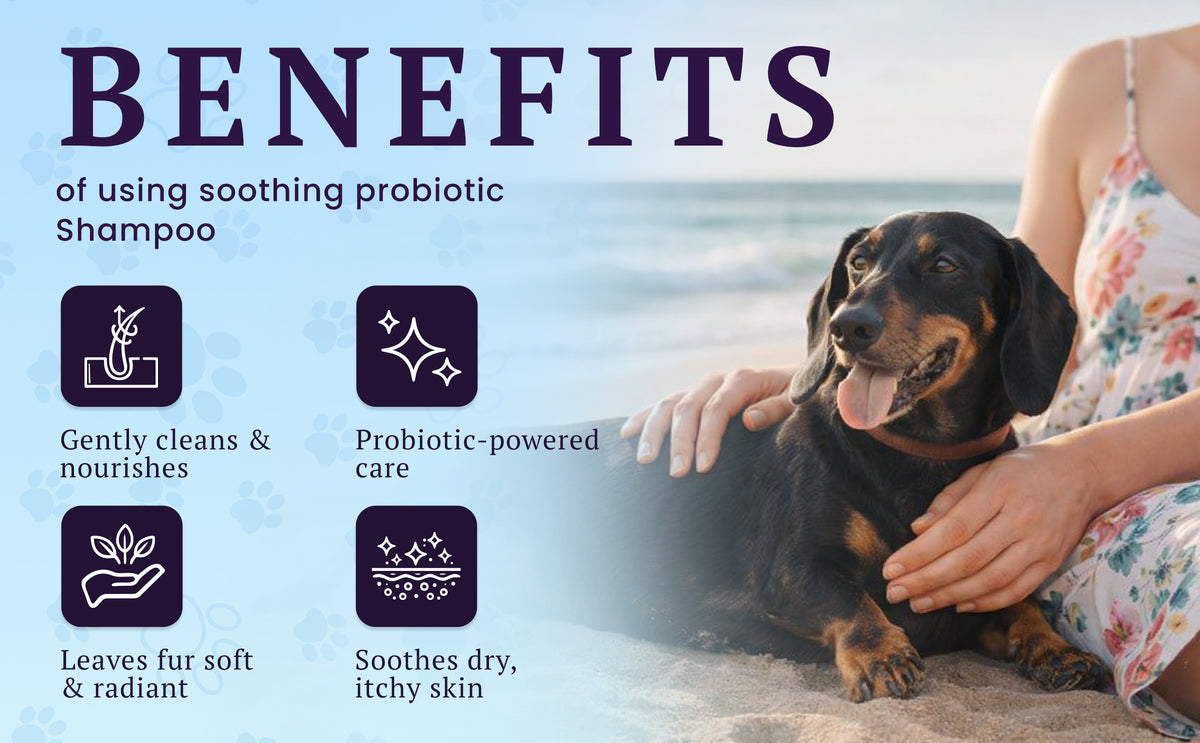 Soothing Probiotic Shampoo – feature image 05