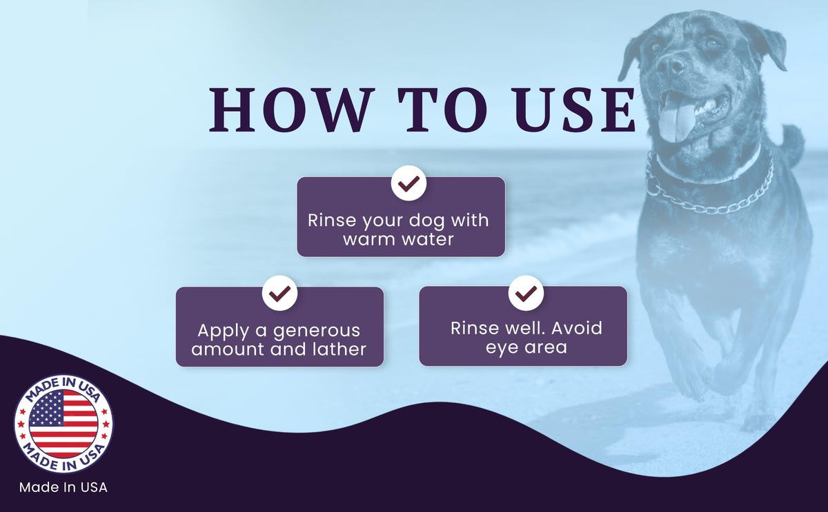Soothing Probiotic Shampoo – feature image 06
