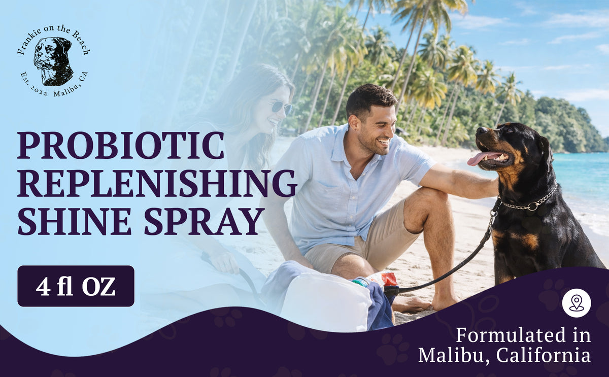 Probiotic Replenishing Shine Spray – feature image 01