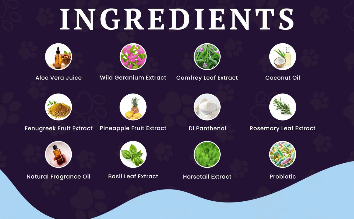 Probiotic Replenishing Shine Spray – feature image 02