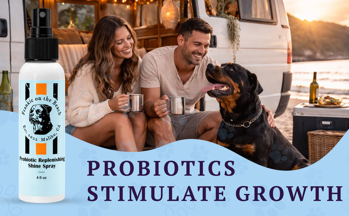 Probiotic Replenishing Shine Spray – feature image 04