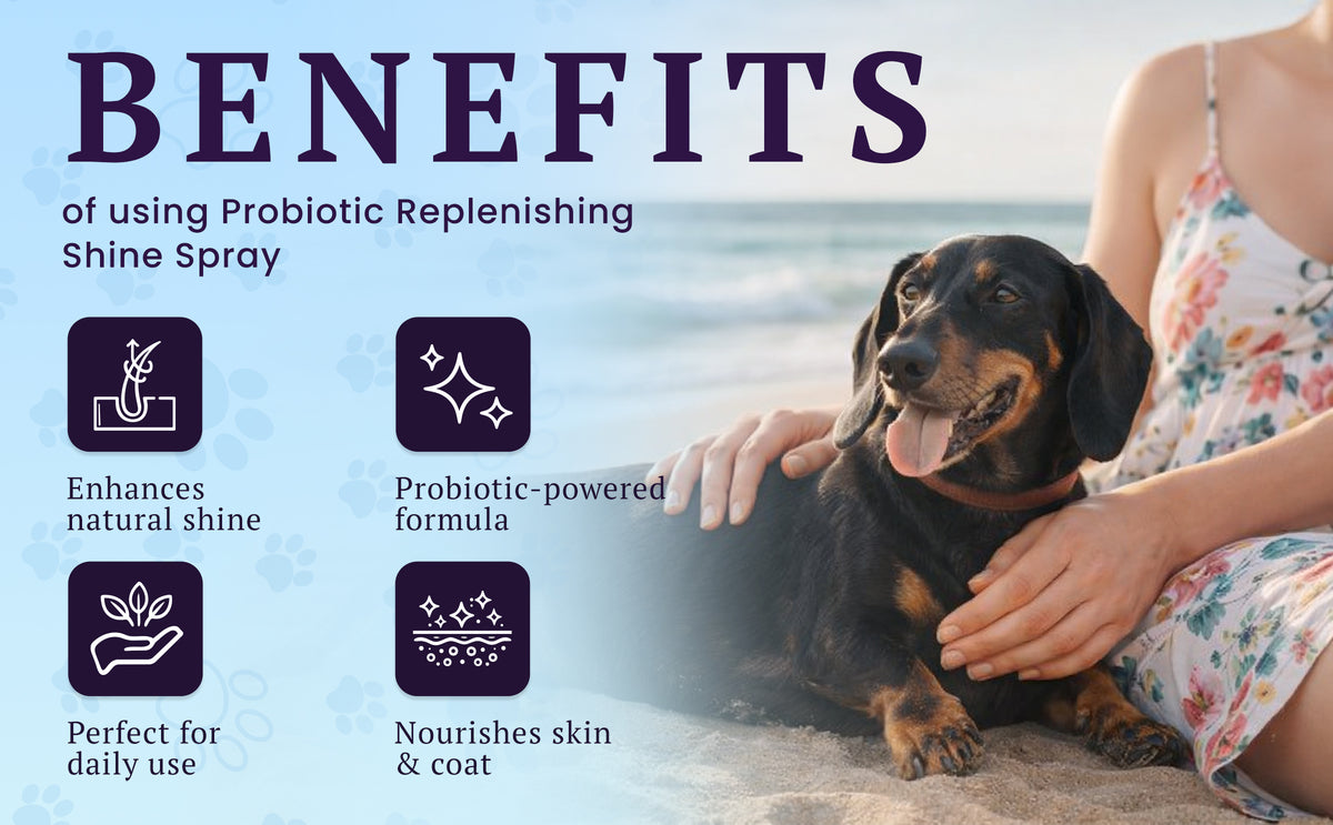 Probiotic Replenishing Shine Spray – feature image 05