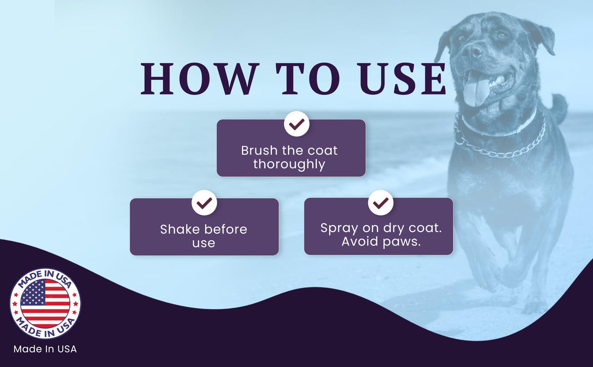 Probiotic Replenishing Shine Spray – feature image 06