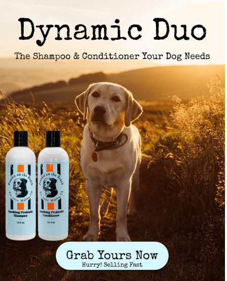 The Dynamic Duo - Amazon image 3