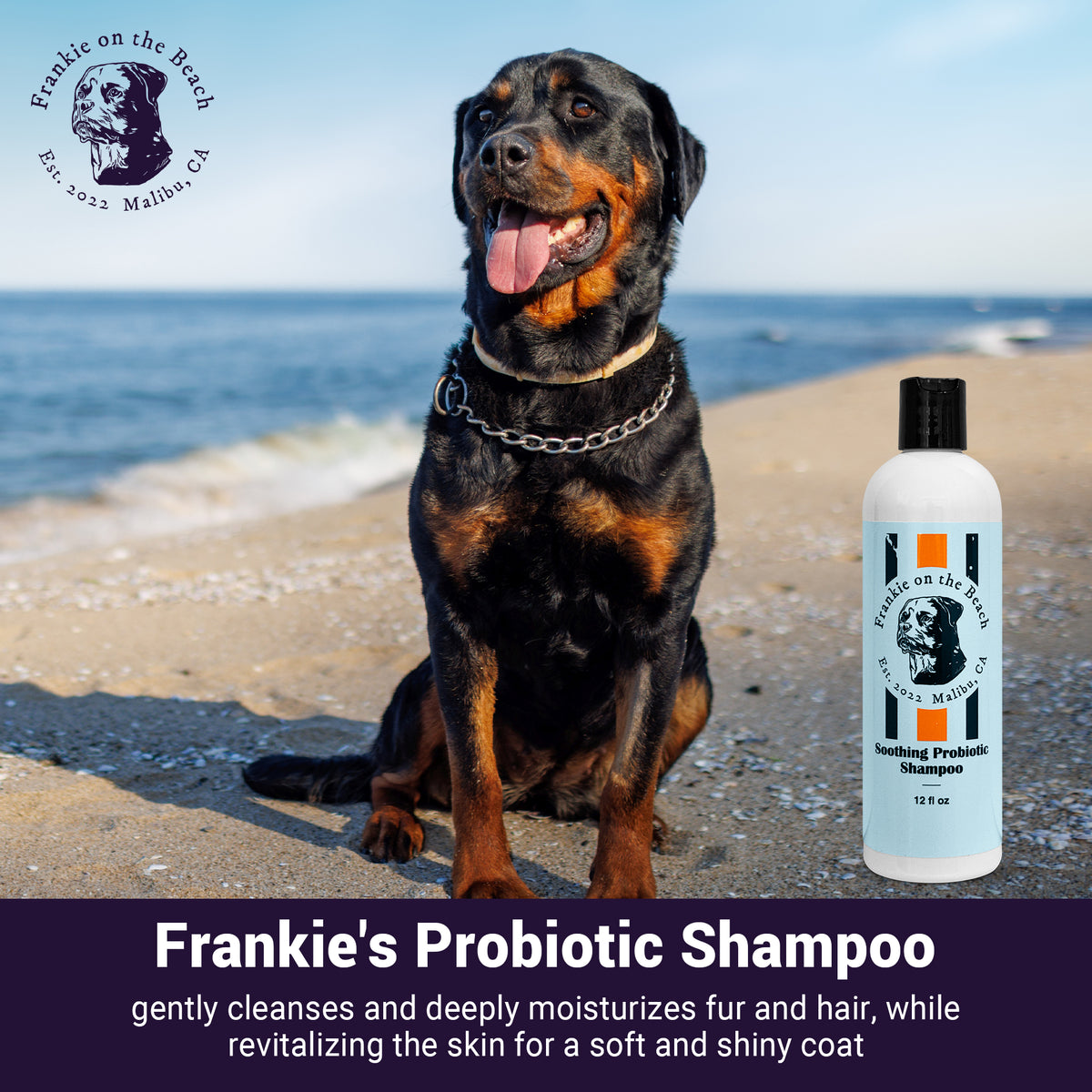Soothing Probiotic Shampoo - Amazon image 5