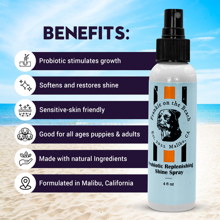 Probiotic Replenishing Shine Spray - Frankie on the Beach