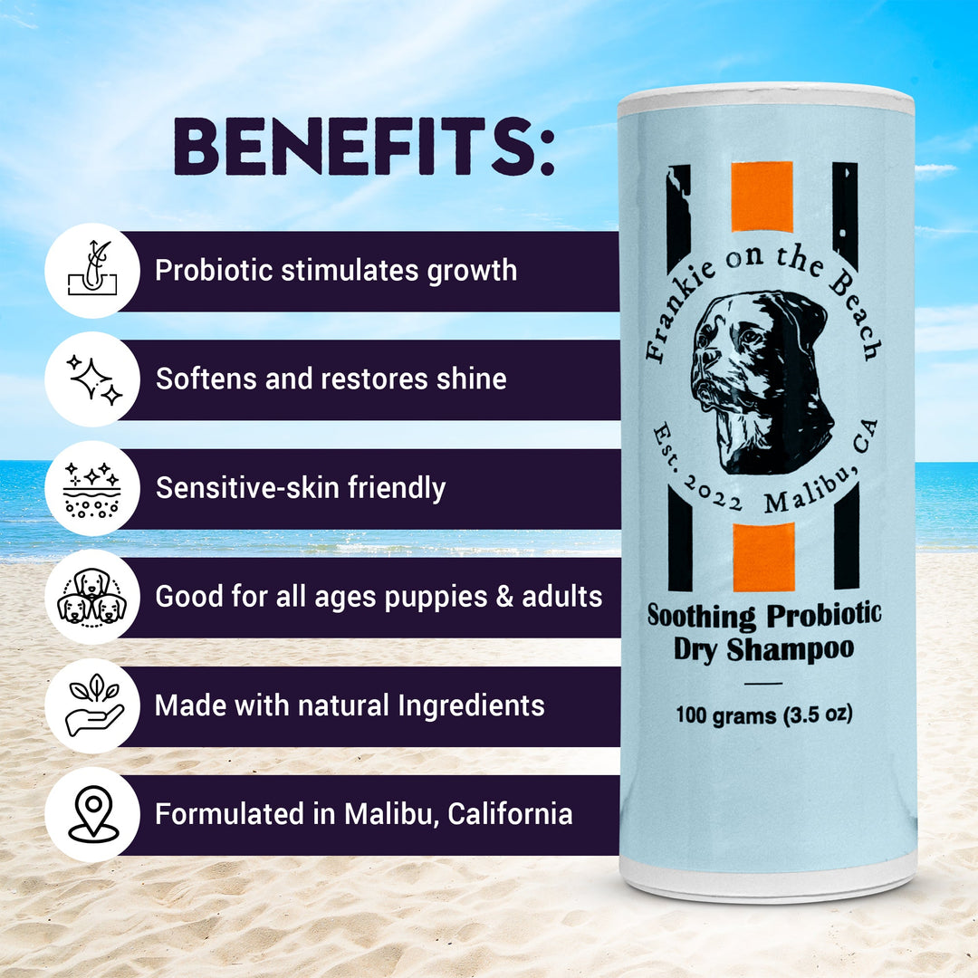 Soothing Probiotic Dry Shampoo - Frankie on the Beach