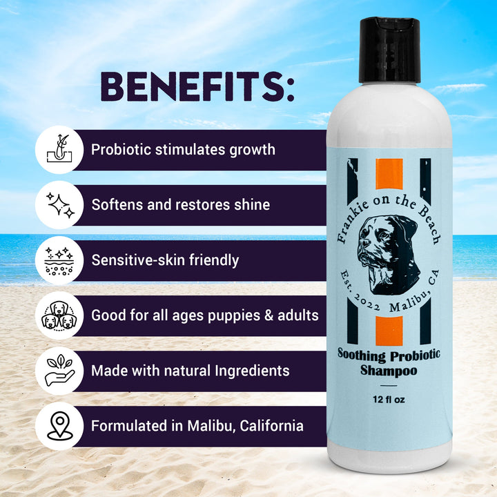 Soothing Probiotic Shampoo - Frankie on the Beach