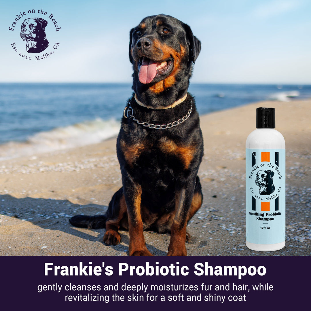 Soothing Probiotic Shampoo - Frankie on the Beach