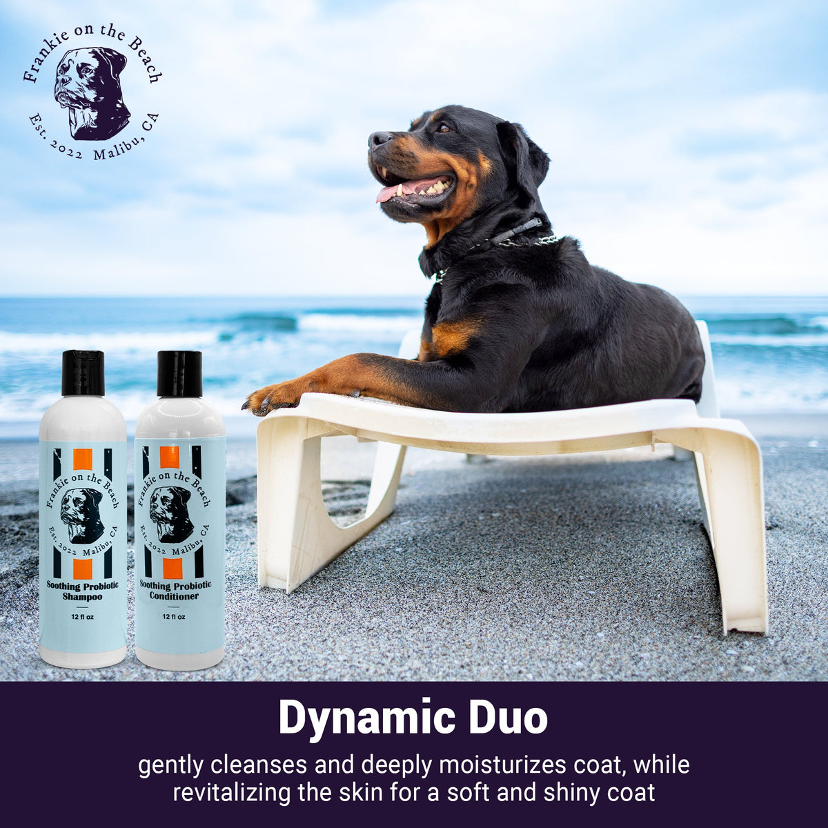 The Dynamic Duo - SAVE 20%! - Frankie on the Beach