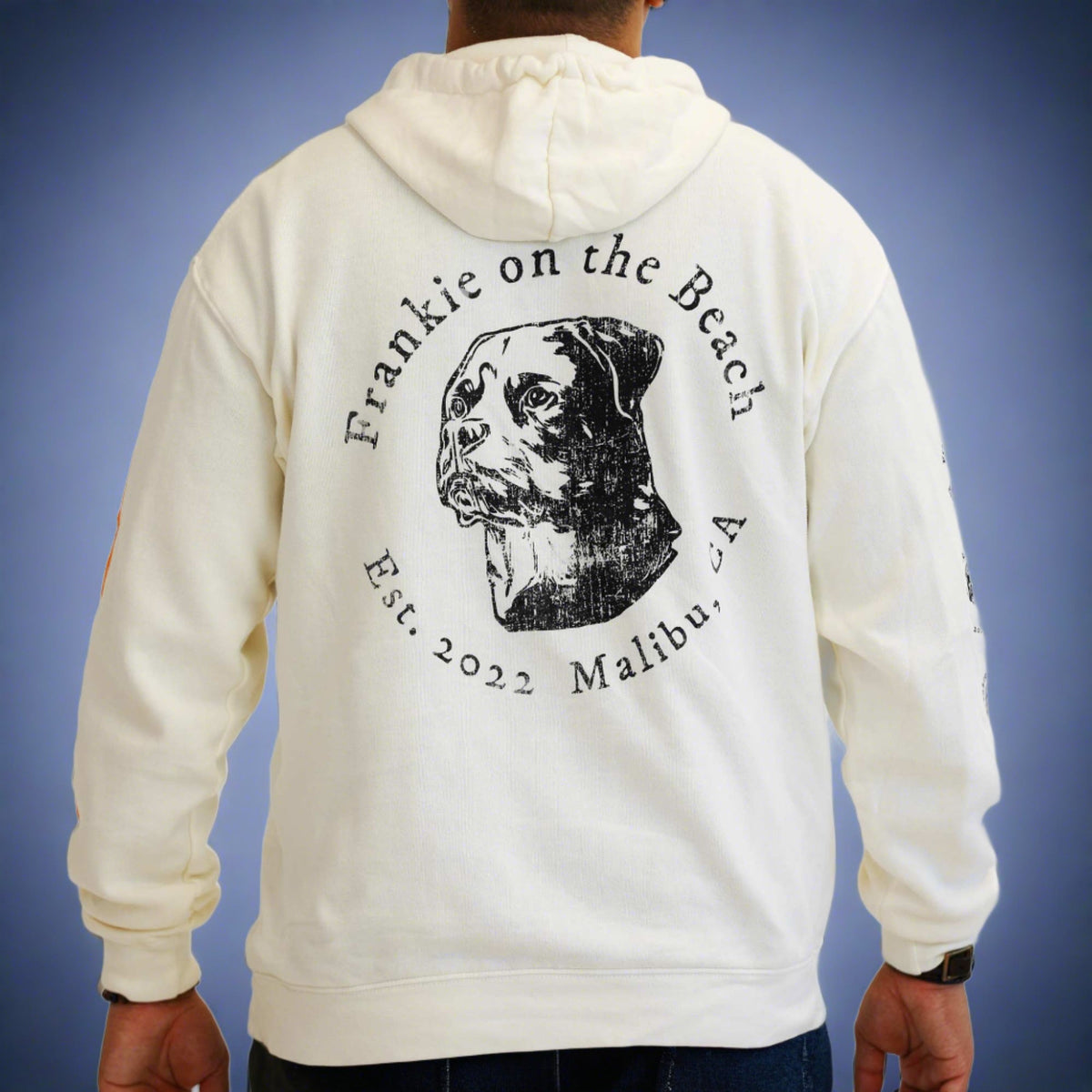 Vintage Stripe Hoodie - Frankie on the Beach